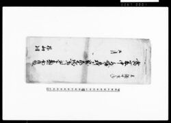 当夏中水堀水押ニ罷成落毛場所御引名奉願上面附帳 / Document of Community image