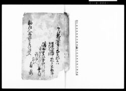 (訴訟人武州葛飾郡安戸村名主貞蔵相手同州同郡堤根村名主九右衛門助郷人馬勤方差障出入一件書付) / Document of System image