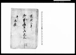 御鷹場御請証文 / Document of Contract image