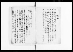 途中病人倒死喧嘩手負一件書類 / Document of Litigation image