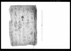 條目 / Document of Politics image