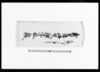 義倉講跡加入掛合金取立帳/Document of Contract image
