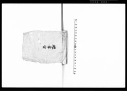 廻章留 / Document of Laws image