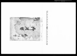 御用留 / Document of Rural Area image