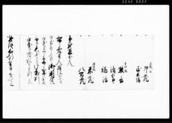 (治安維持のため三拾人組と号す組割り発足につき書付) / Document of Litigation image