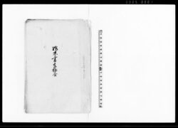 始末書凡振合(勘当帳外の件等関東取締出役へ願出の諸書面雛形) / Document of Rural Area image