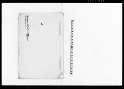 上（水防の為荒川除地大囲堤外の草木伐払禁止の旨につき上申書） / Document of Rural Area image