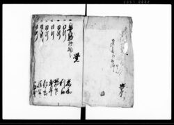 御用諸留帳 / Document of System image