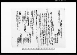(忍代官所へ年貢割符免状及び村方諸人数取調の件につき申上書他諸事書付) / Document of Community image