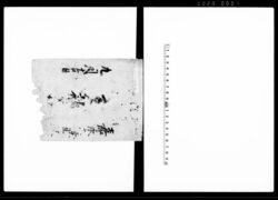 出入諸書付(信濃国筑摩郡潮村一件) / Document of Rural Area image
