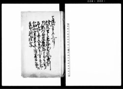 (武州埼玉郡下新郷百姓其他より名主及び父不正不実取計立之段其御筋々江差出候訴状写) / Document of Litigation image