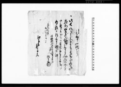引取申一札之事（長八引取の件につき） / Document of System image