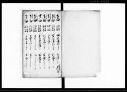 磐井郡東山之内藤沢本郷村御検地帳 / Document of Rural Area image