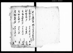 坂上 木河田村之内(元和6年12月4日内検地帳) / Document of Rural Area image