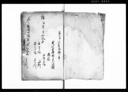(武州葛飾郡下川崎村組頭市郎兵衛方殺害一件につき書留) / Document of Laws image