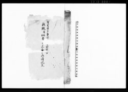 武蔵国多摩郡(木曽)村組合鉄炮并似寄(之品)迄無之御請証文 / Document of Rural Area image