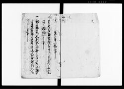 宗門人別書上帳 下書 / Document of Laws image
