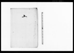 上(絞油株他村者へ譲渡にて渡世相止の旨につき申上書) / Document of Economy image