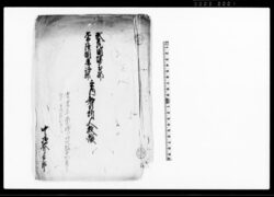 武蔵国埼玉郡常陸国鹿嶋郡之内知行所人数帳 / Document of Laws image