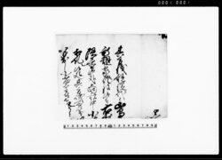 断簡（捨子之儀ニ付御仕置之事） 他 / Document of Laws image