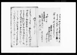 （武州幡羅郡東別府村平五郎不埒にて召捕一件につき諸書類綴） / Document of Rural Area image