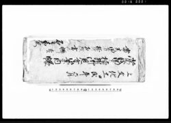 当戌田方植附御見分御案内帳(安政五年当午田方植附古荒相改書上帳付) / Document of Rural Area image