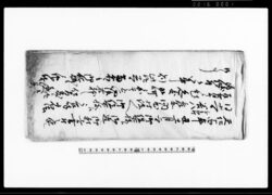 文化十四年丑十一月二日御役所様江御達シ御願上候書付之写シ(越前国南条郡二ツ屋村馬借商物継送りの件につき) / Document of Community image
