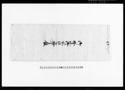 御検地御水帳小拾書抜 / Document of System image