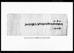 古田新田権之丞名所平右衛門名所御水帳小拾書抜 / Document of Laws image