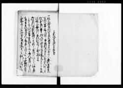 西吉田村より河辺村江相掛り候出入江戸御吟味中書類留 二番(山論出入につき) / Document of Laws image