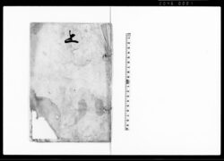 上(御新法執行の処取立米内にて差引の旨につき歎願書) / Document of Laws image