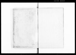 公裁(吟味仕置例類集) / Document of Laws image