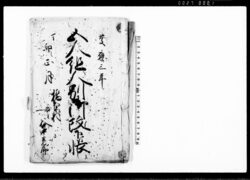 五人組人別御改下帳 / Document of Laws image