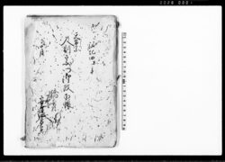 天台宗人別宗門御改下帳 / Document of Laws image