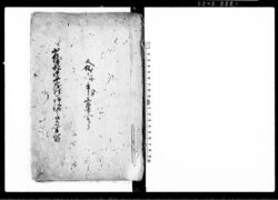 岩城郡中平窪村一件銘々口上書留(変死人始末一件) / Document of Litigation image