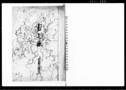 書上帳 / Document of Rural Area image