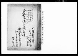 身体限諸色附立帳 / Document of Economy image
