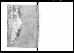 (後編)柳営秘鑑 十一 / Ryūei Hikan, Part 2, Vol. 11 (Regulations on Ceremonial and Etiquette at the Shōgun’s Court) image