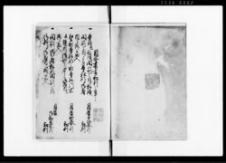 目安裏書初判之事 / Document of Laws image
