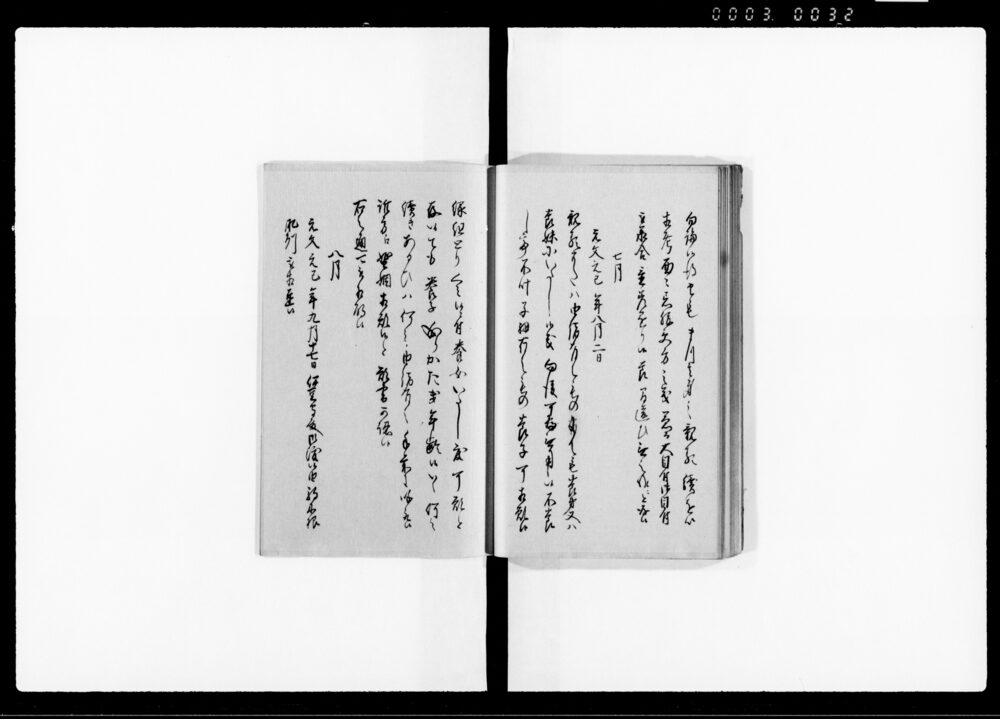 90377024_1032
