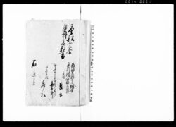 唐船乗合奥州之者願書(大槌より江戸へ出航のところ遭難・唐船にて送還途中遠州へ漂着につき) / Document of Rural Area image