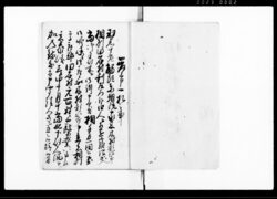 田名村一件済口(羽黒十老触頭東朝院家来より相模国高座郡田名村百姓5名に対する難渋出入につき請証文) / Document of Litigation image