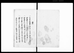 武蔵国埼玉郡本川俣村宗門人別帳 / Document of Laws image