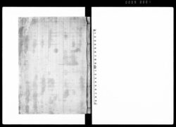 外桜田乱妨雑記 / Document of Laws image