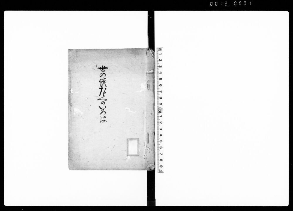 90377126_1001