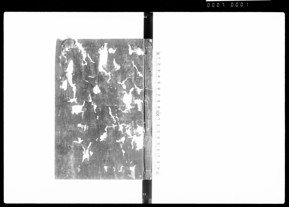 90377135_1001