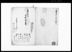 武州榛沢郡東大沼村当未人別改帳 / Document of Rural Area image