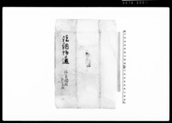 申年諸納物通(武蔵国大里郡佐谷田村) / Document of Rural Area image