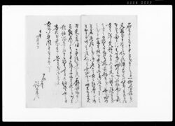 御尋ニ付以書付奉申上候(番号札打建の儀御尋問につき) / Document of Rural Area image