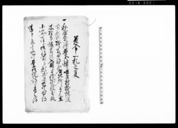 差上申一札之事(堰普請入用につき伐木致したく願出候) / Document of Rural Area image